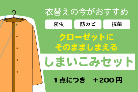 しまいこみセット